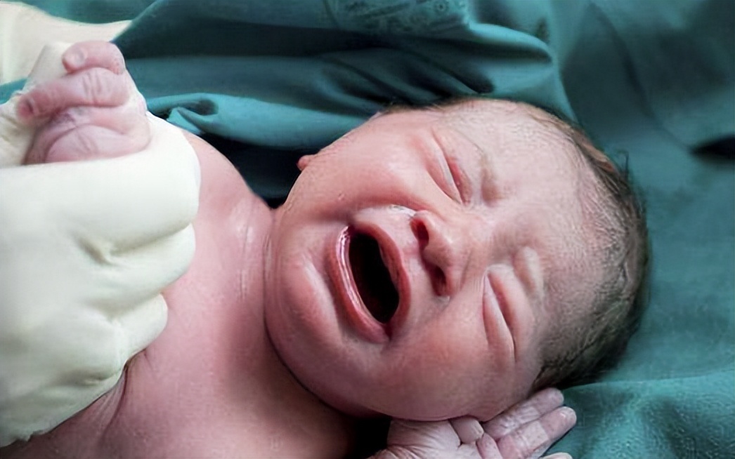 2024年将引发生育热潮？网友：7个已婚朋友，5个在备孕“龙宝宝”