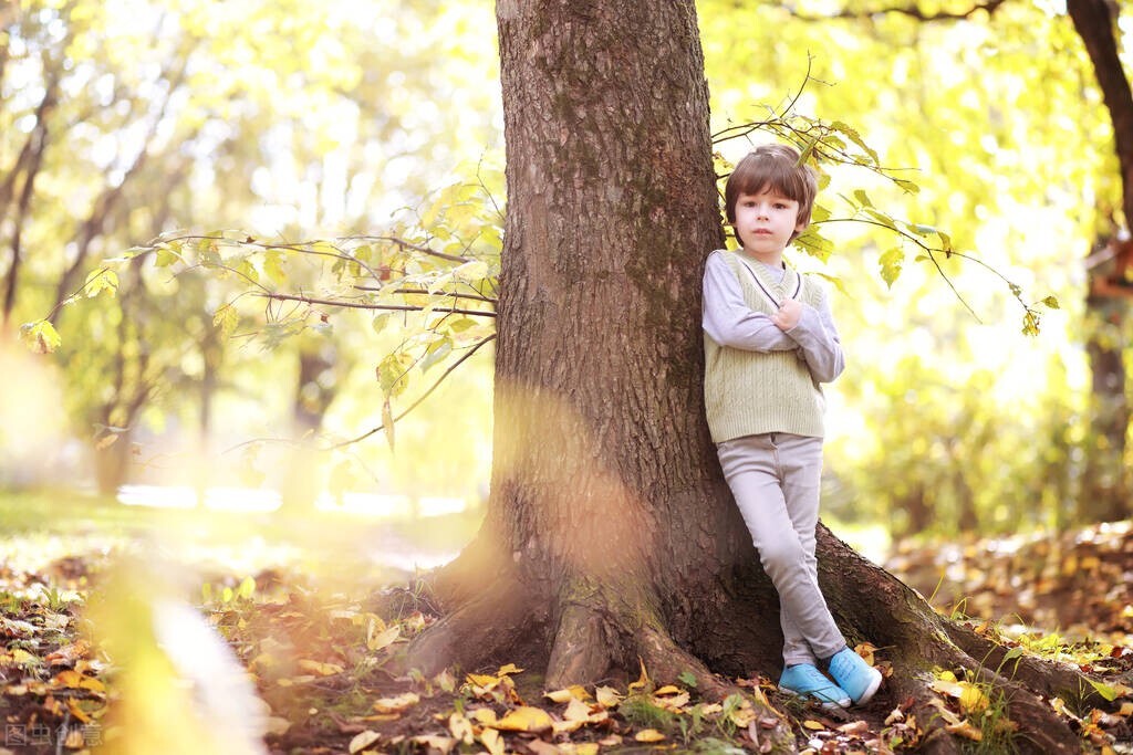虎甲虫是世界上跑的最快的虫吗,虎甲虫是最快的昆虫吗