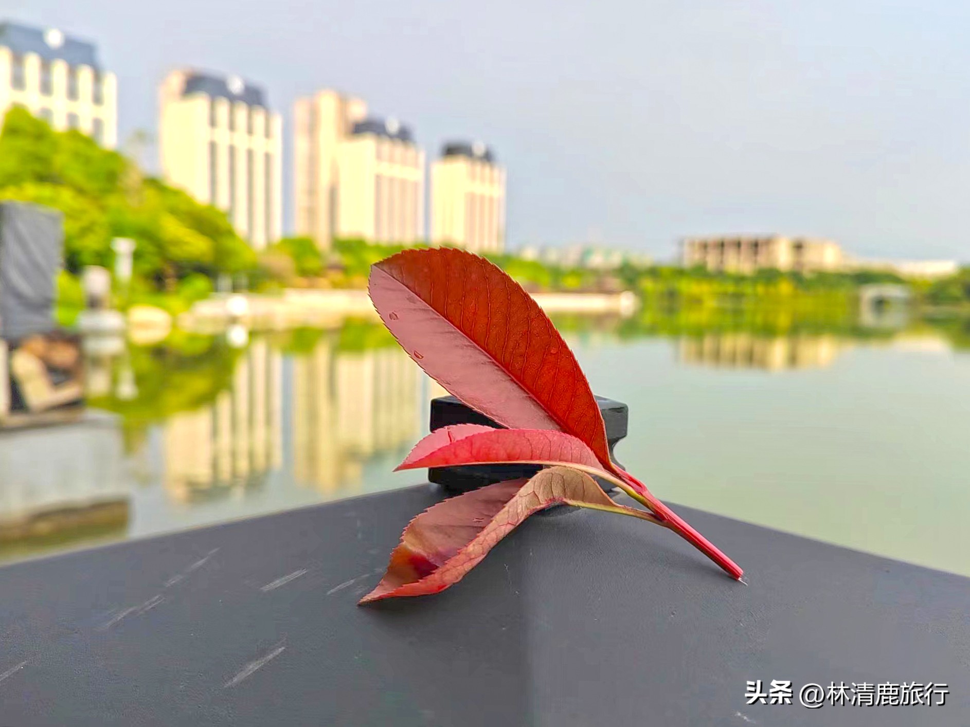 半城山色半城温泉,半城温泉半城湖