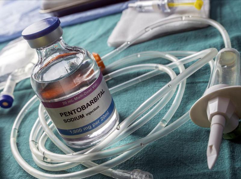 “安乐死”没有痛苦？别看走的很安详，但它的痛苦程度超出你想象