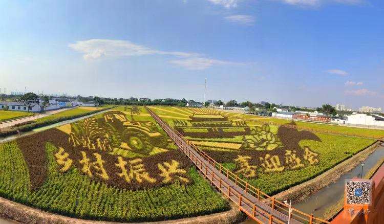 【十项行动·津南行动】在津南，赴一场“文明之约”——天津津南区创建全国文明城区工作综述