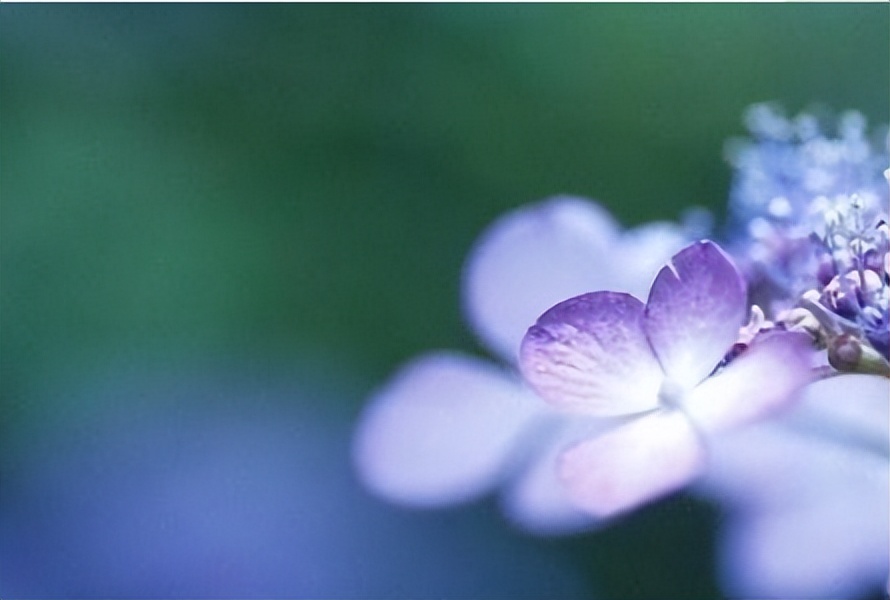 一个女人的品味看她的鞋子,一个女人过得好不好很容易看出来