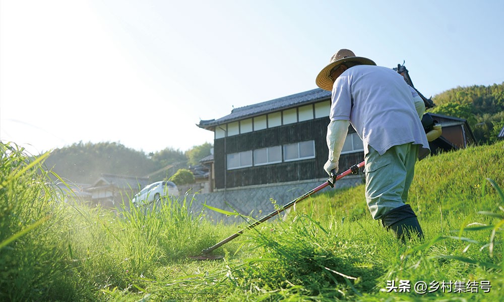 【推荐】日本馆森方舟牧场：让农业变成年轻人梦想的魅力产业