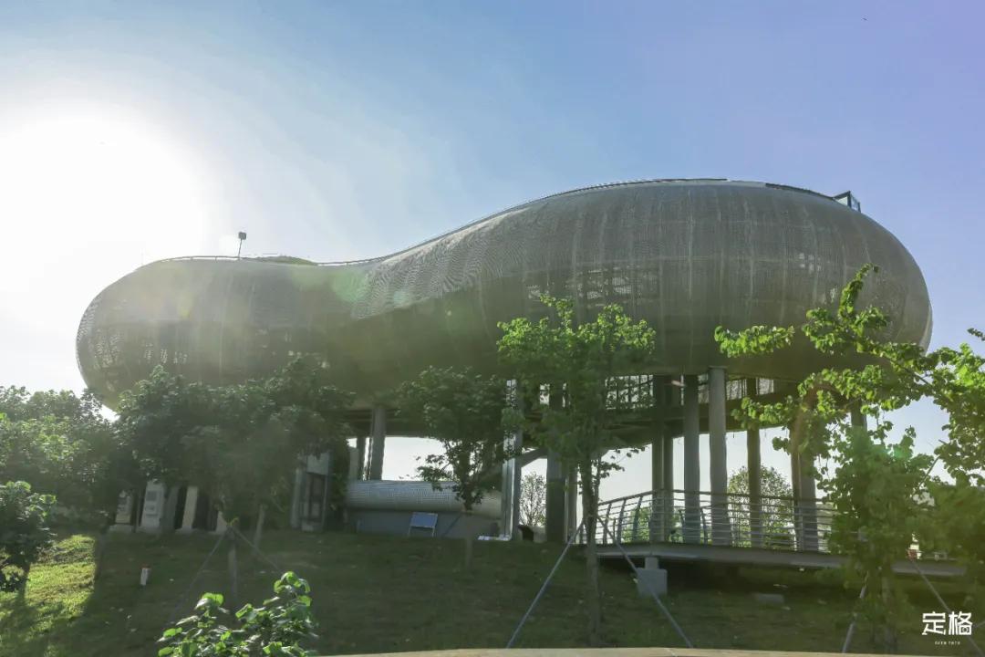 深圳免费好玩的滑梯推荐,深圳摩天滑梯