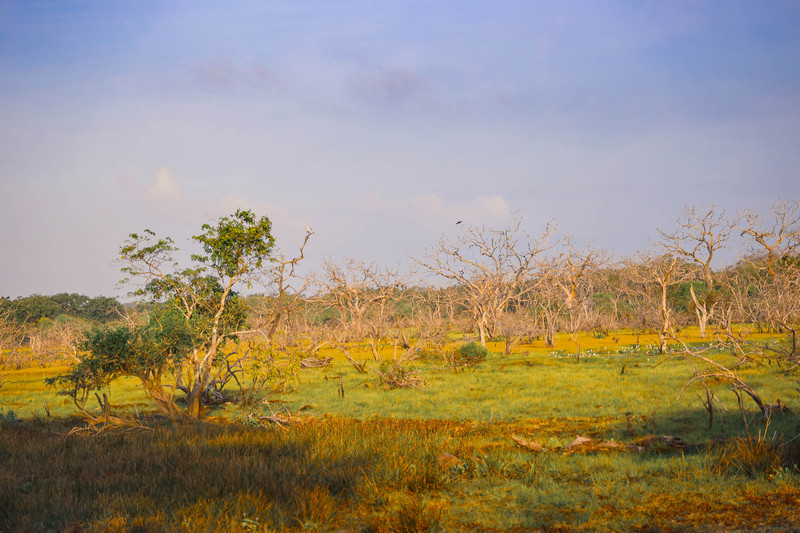 斯里兰卡旅游攻略必去景点,斯里兰卡旅游攻略最佳时间