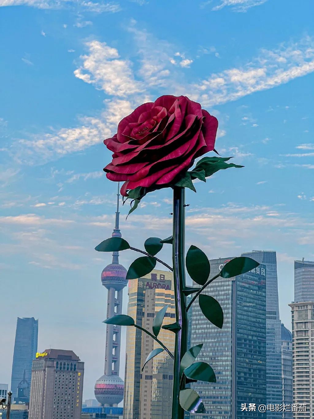 情人节创意广告搞笑,情人节送礼创意广告