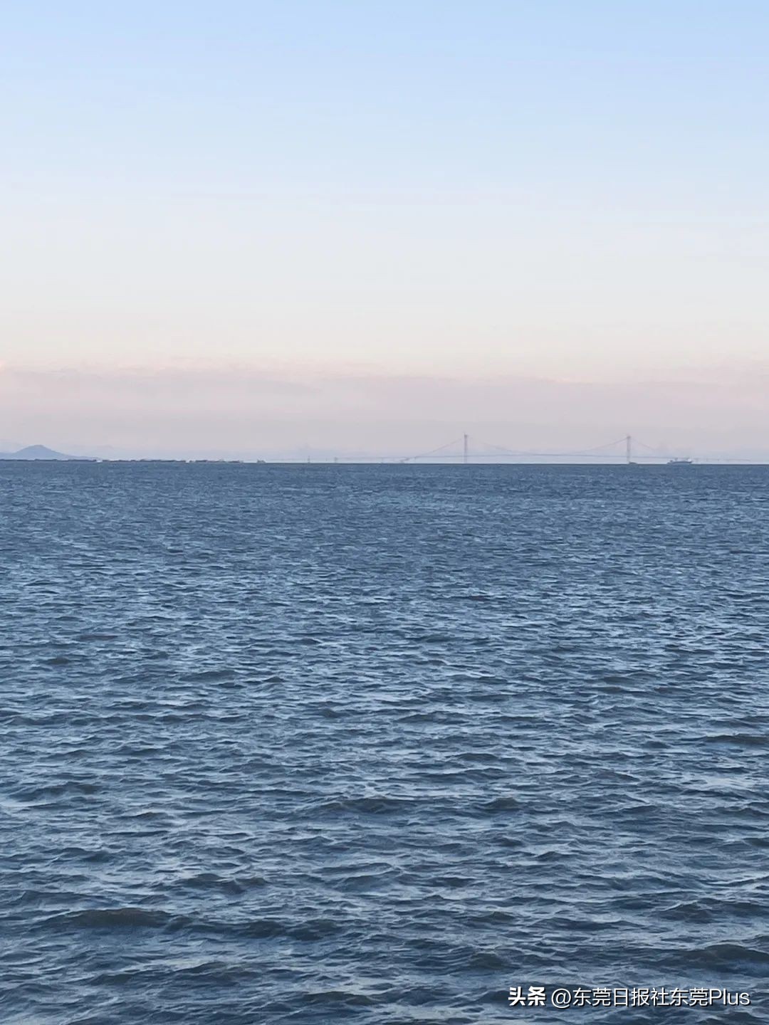 东莞可以看海和赏花的公园,东莞国庆看海游玩推荐