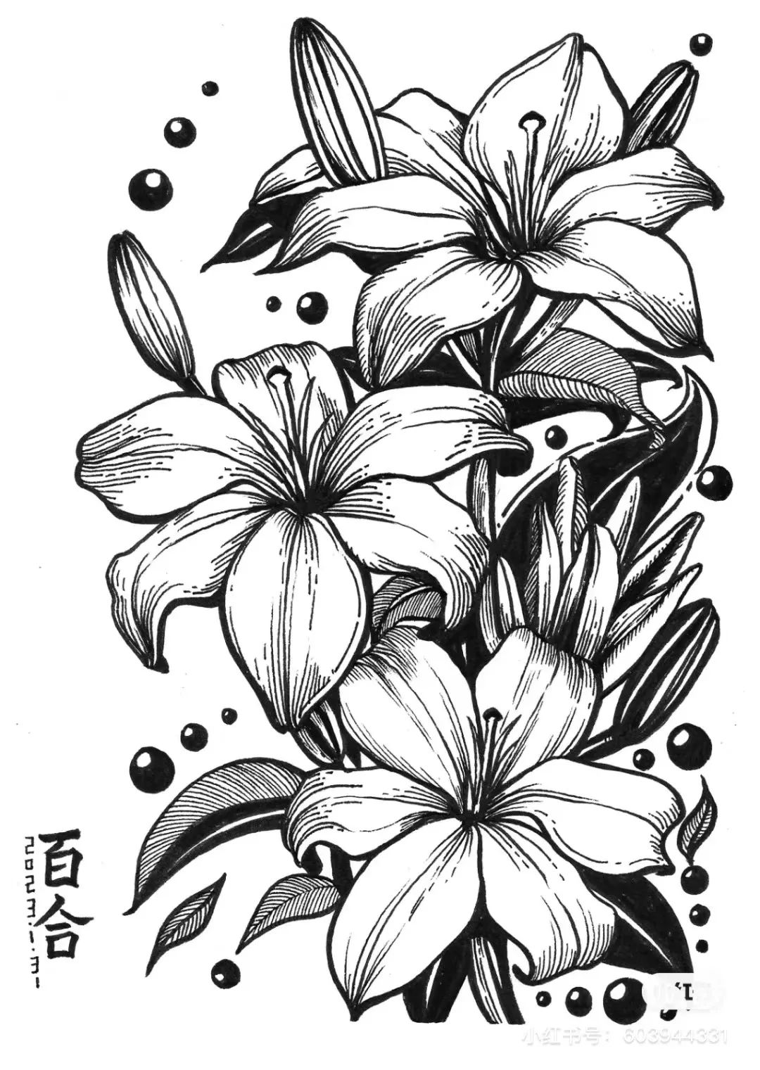 针管笔画线条练习,针管笔黑白装饰画线描