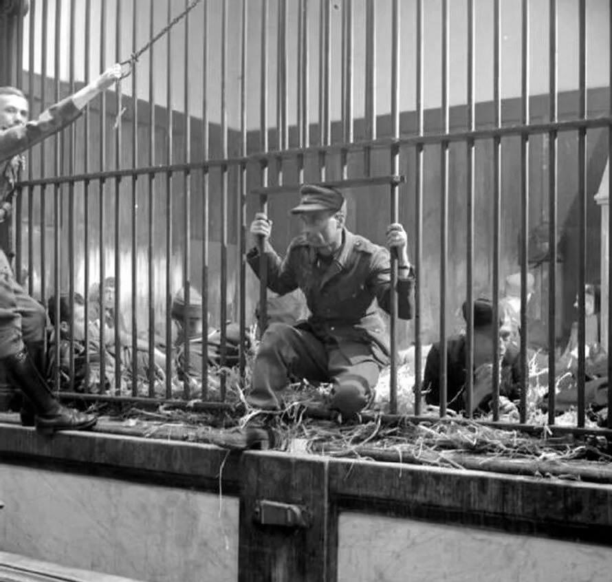 日本暴行老照片,老照片揭露日本暴行