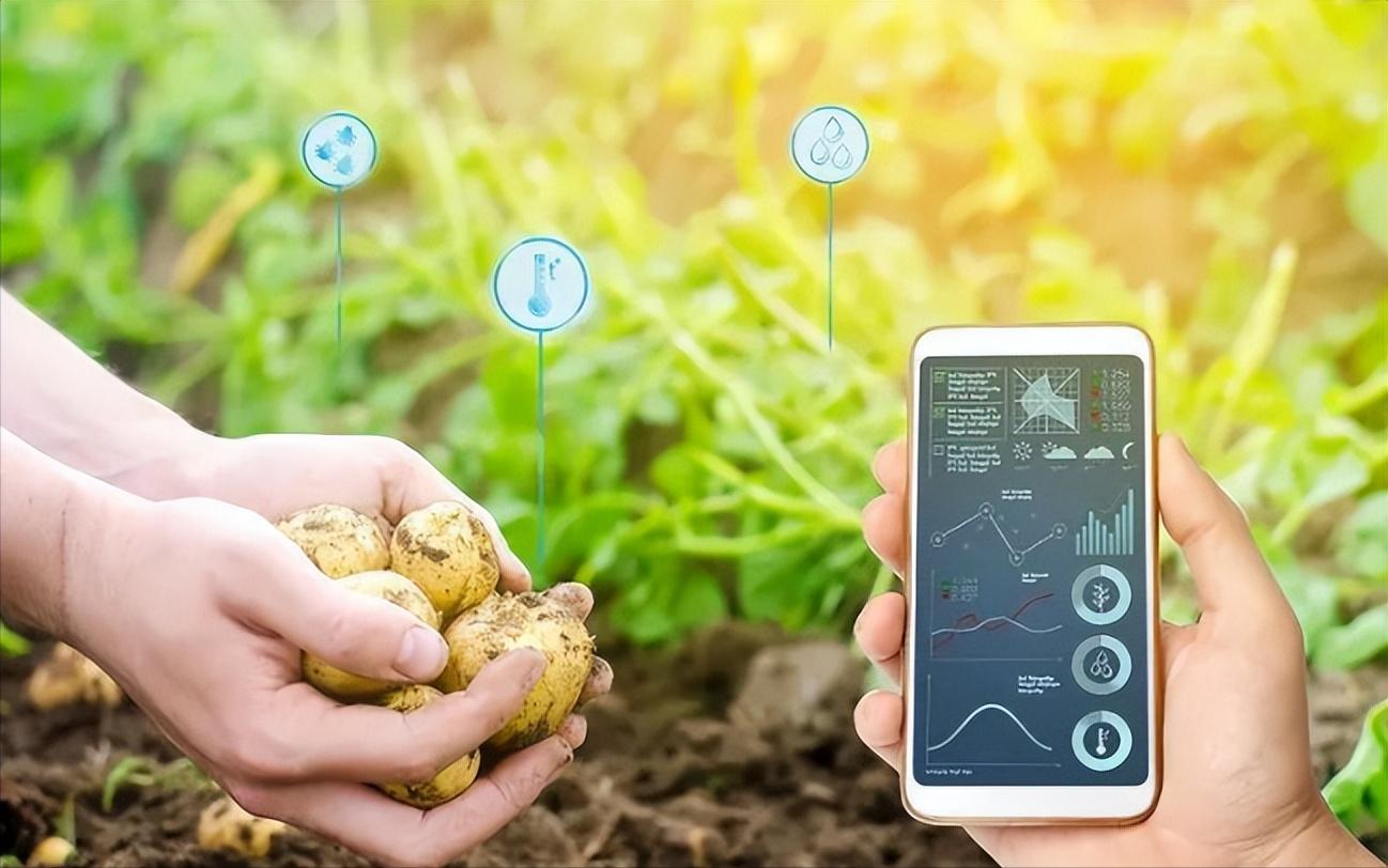 农业信息化和精准农业,农业信息化是在农业的什么领域