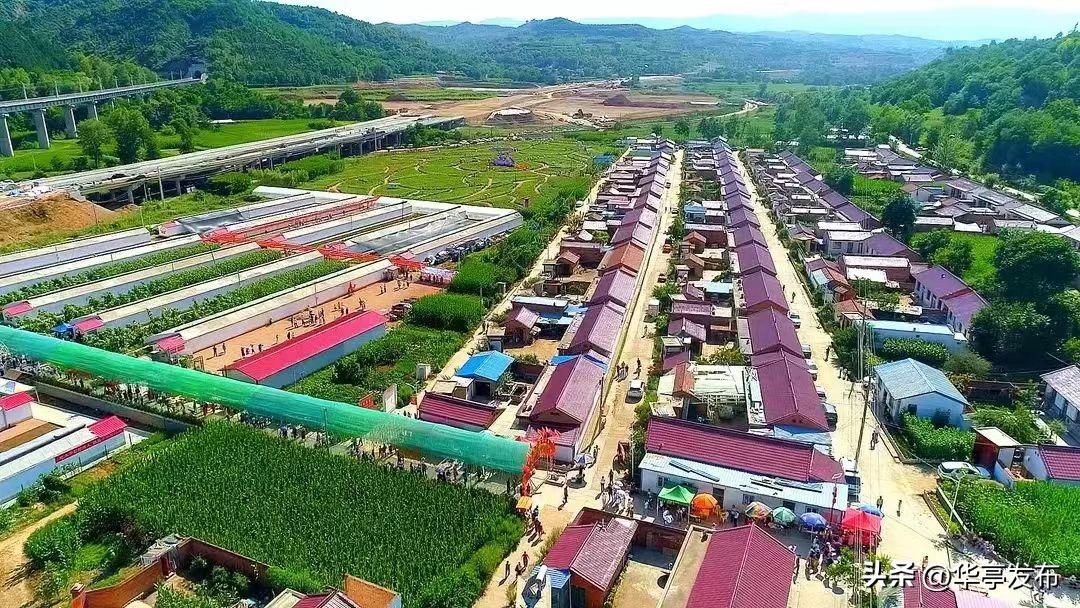 安口镇朱家坡村,华亭县安口镇朱家坡村