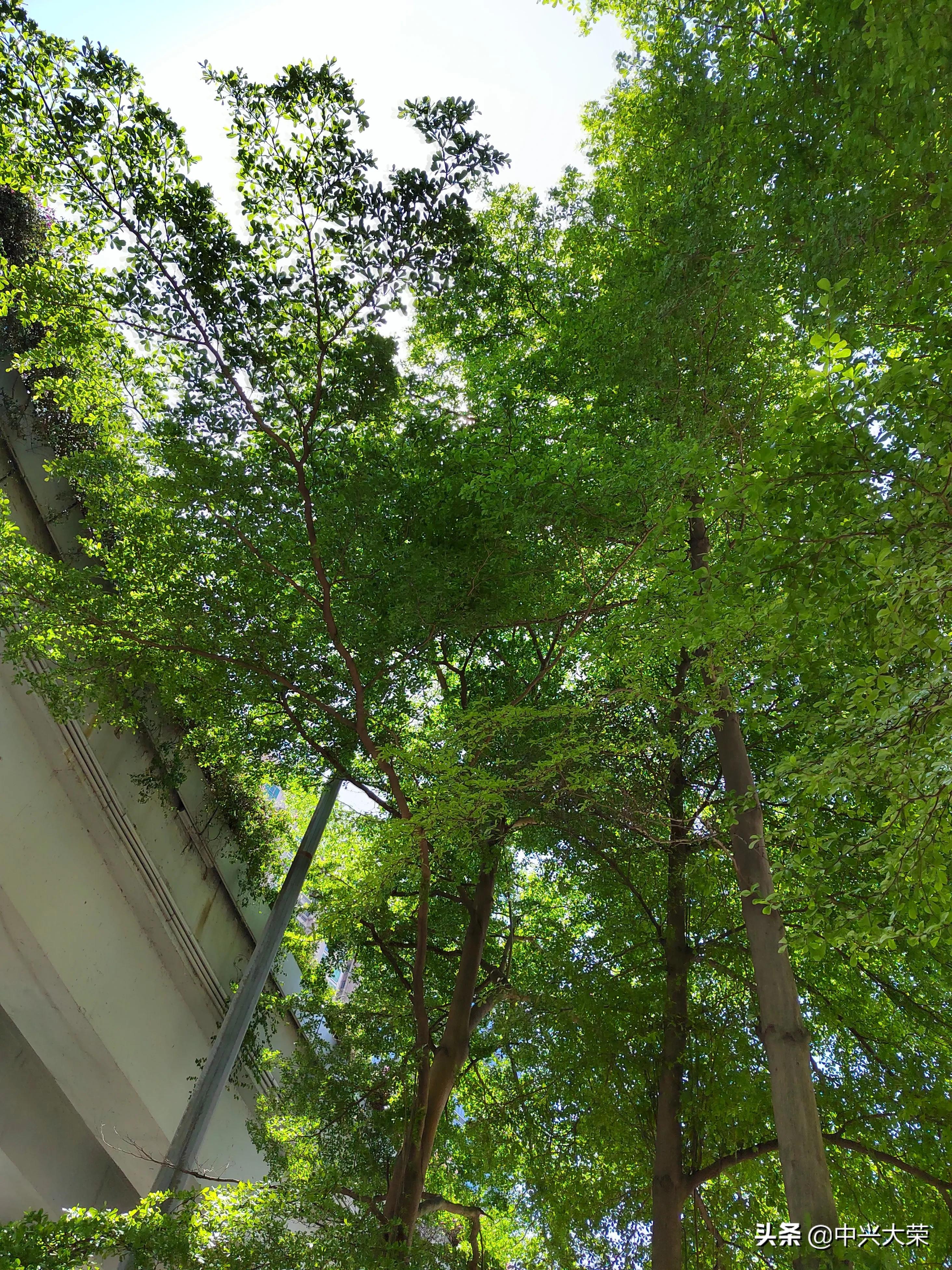 举办一场足球比赛,渴望今年的比赛