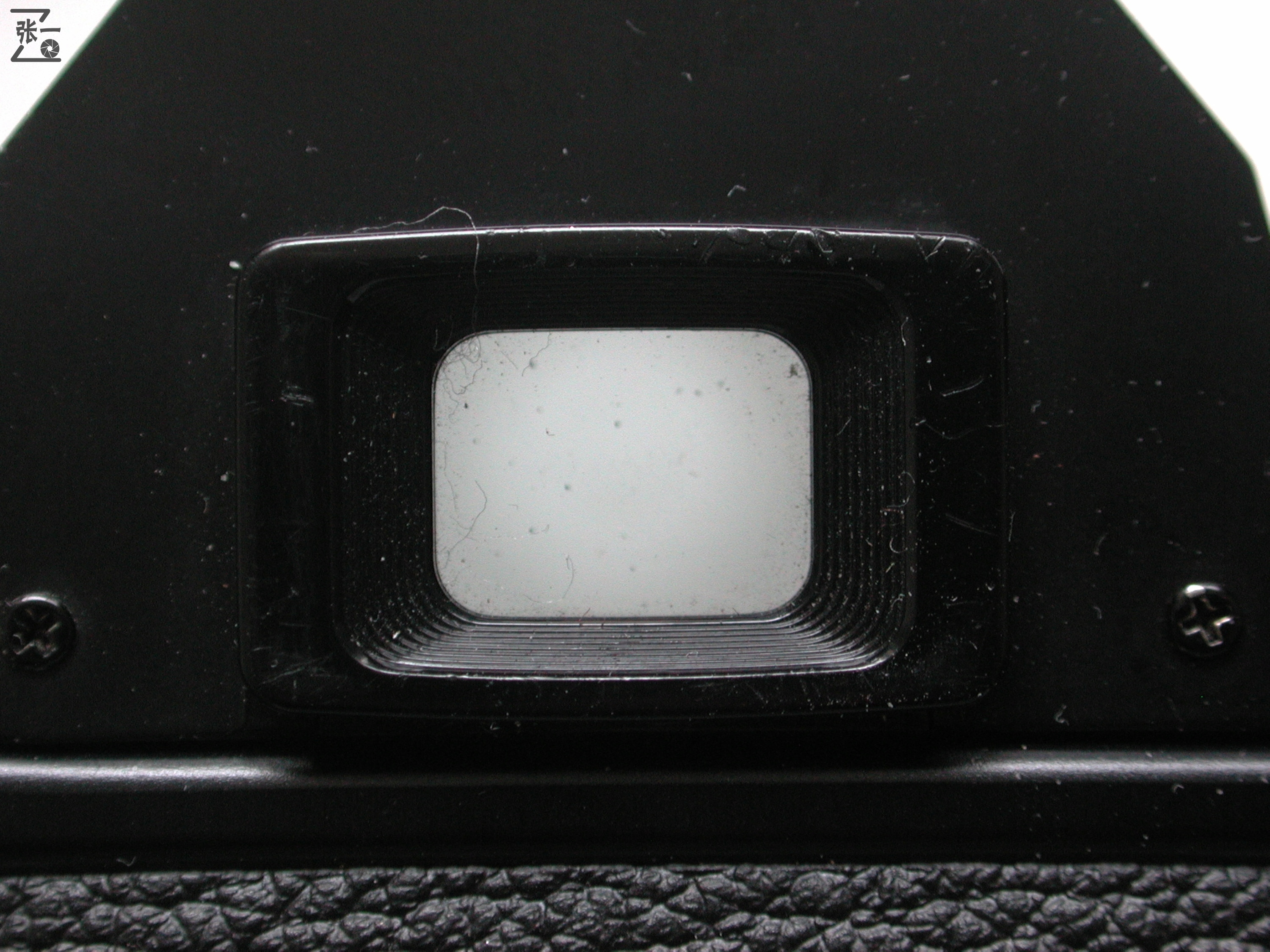 nikon单反最新款,nikond系列相机