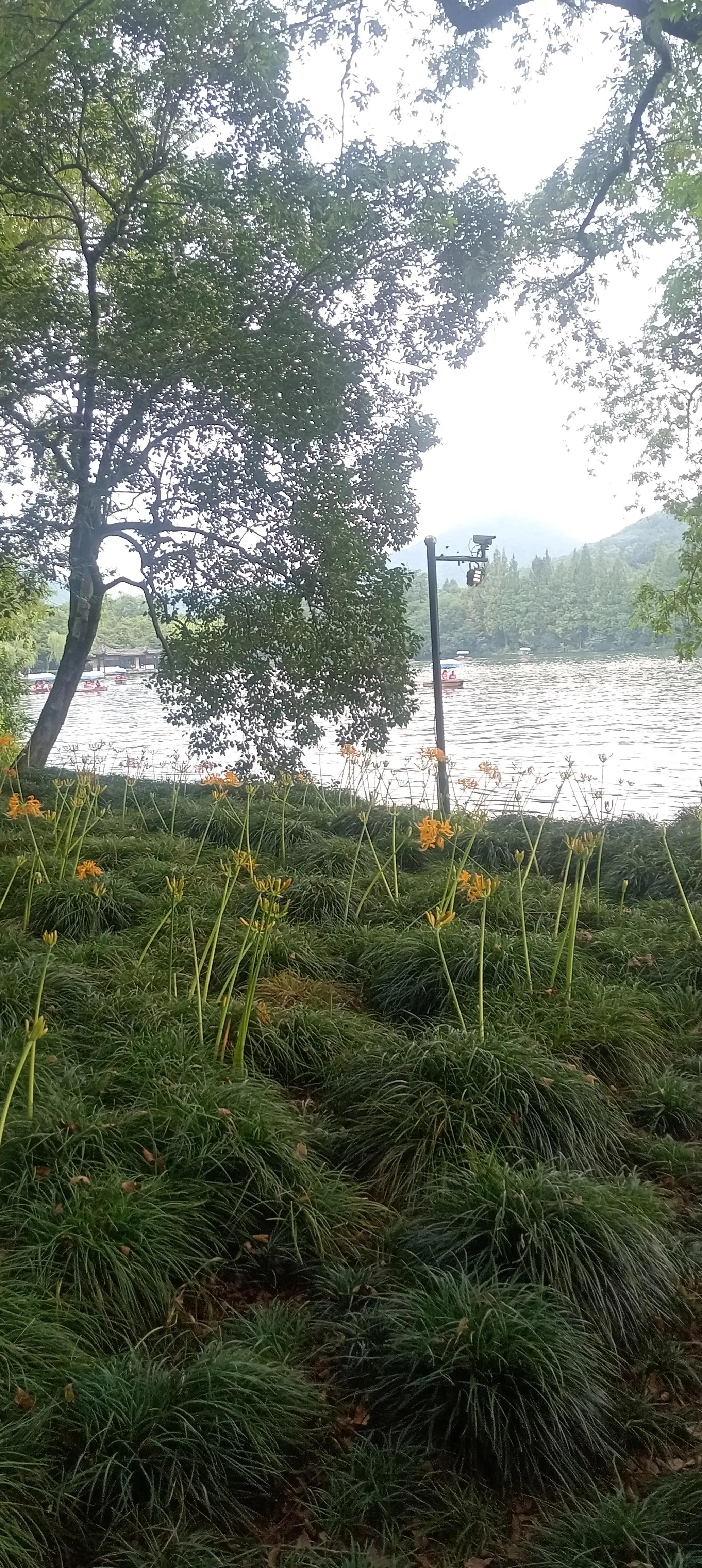 散文我的母亲400字作文,散文我的母亲鉴赏