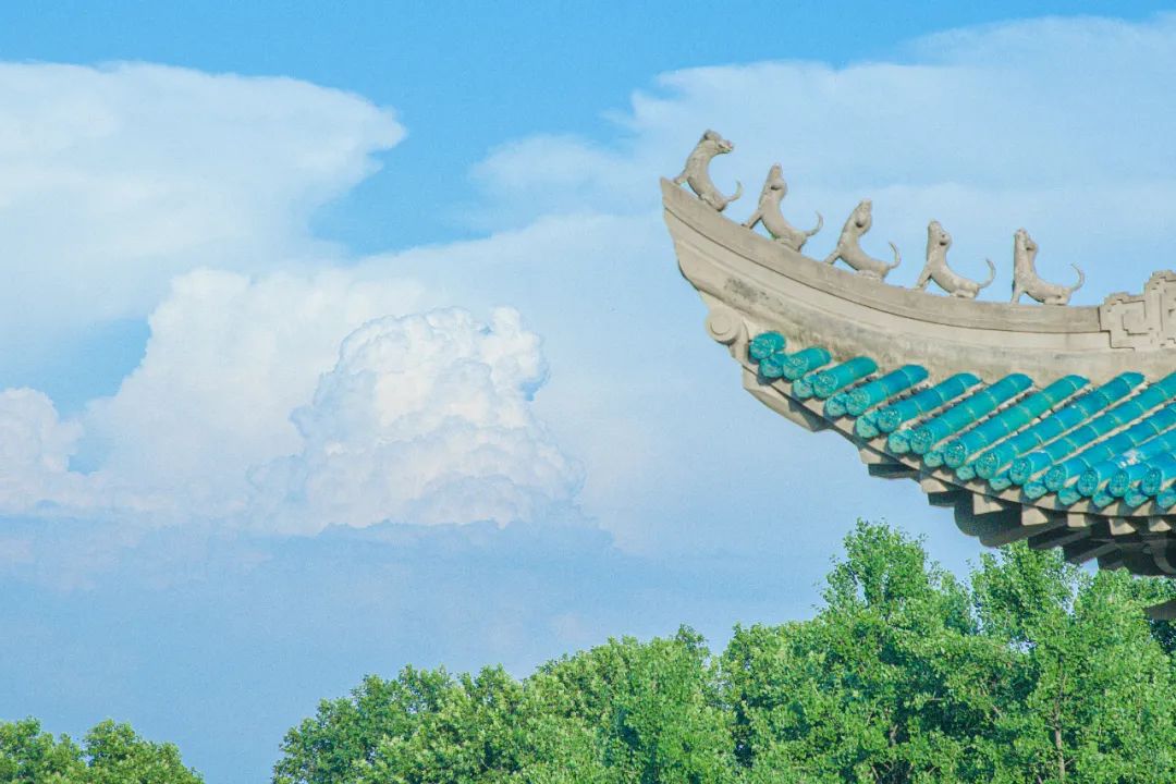 2024年武汉大学高校专项招生简章,武汉大学本科招生表