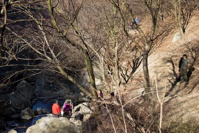 冬天寻访秦岭大峪，不但还有古道遗迹可循，还能见到这条野生广告