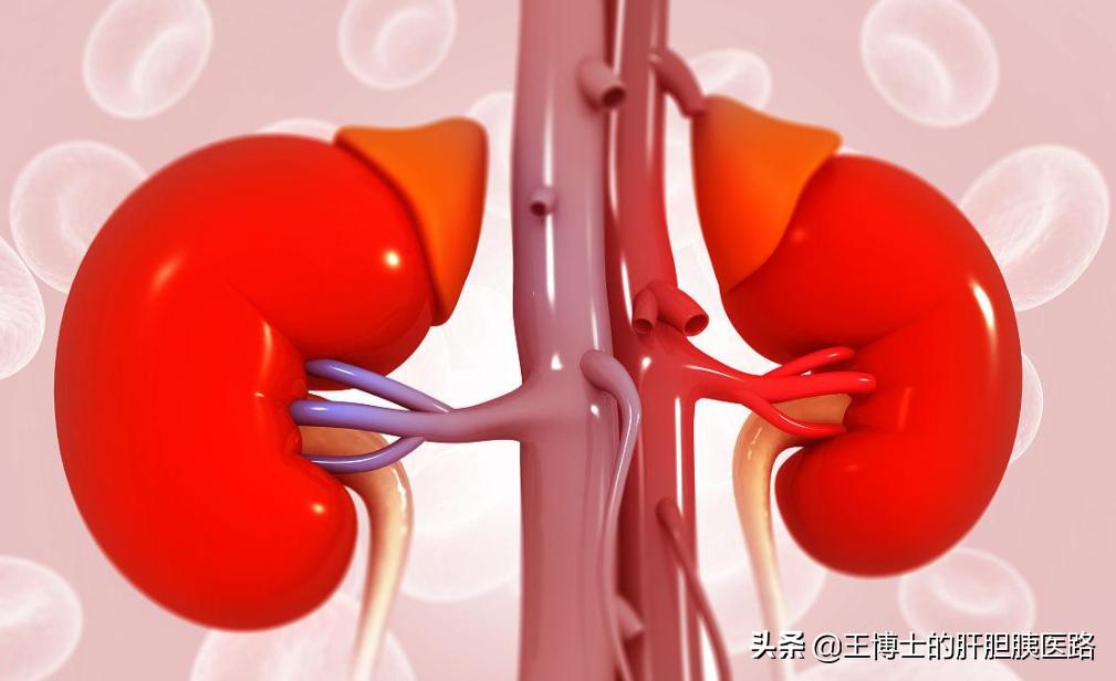 非奈利酮最新消息,非奈利酮治疗糖尿病肾病效果