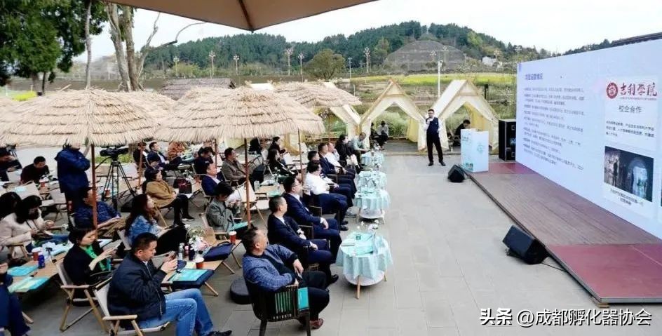 创产合作,创研社交流平台