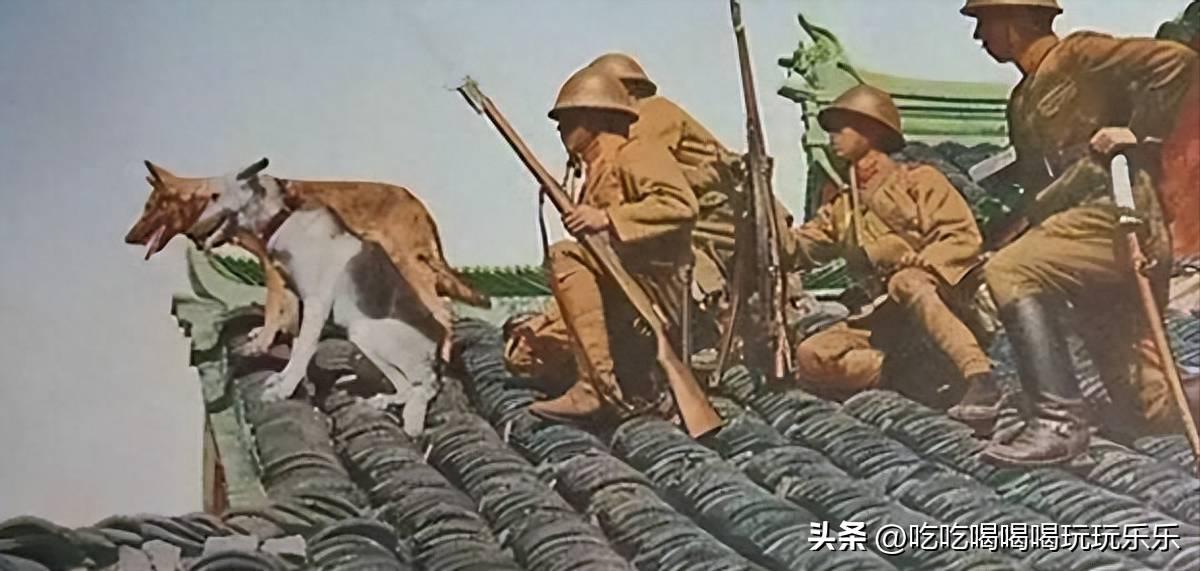 鏃ュ啗渚靛崕鍏借,鏃ユ湰渚靛崕鍏借鐓х墖