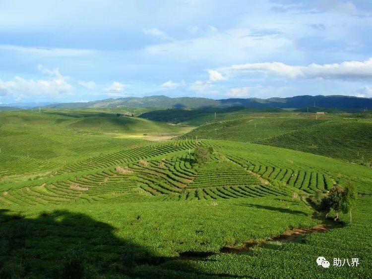 西双版纳的地标,西双版纳6国地标打卡