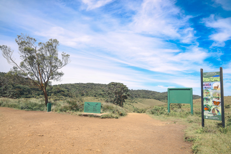 斯里兰卡旅游攻略必去景点,斯里兰卡旅游攻略最佳时间