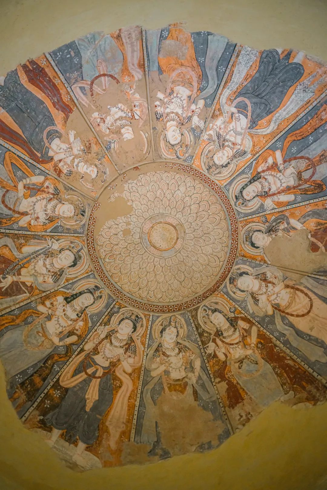 魔都自然博物馆,魔都的博物馆真的很有看头