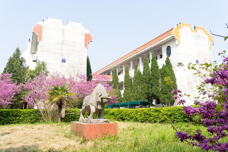 黄陂市新洲一中怎么样,武汉新洲一中与黄陂一中哪家强