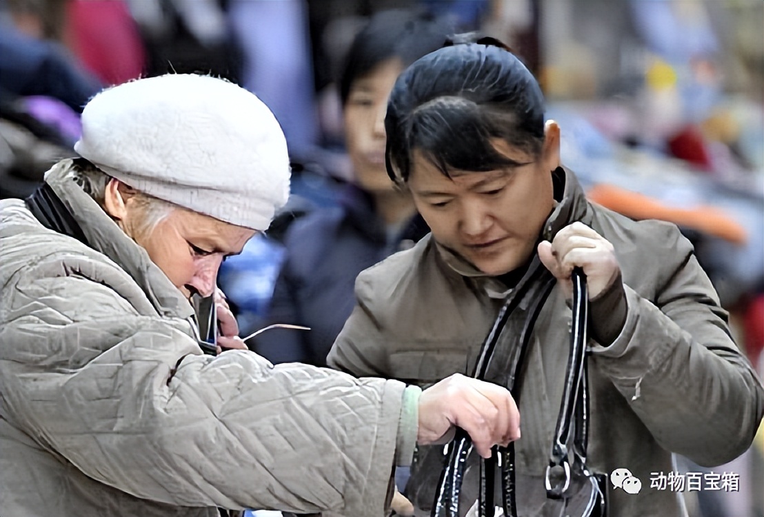 西伯利亚被俄罗斯开发了吗,俄罗斯是如何开发西伯利亚