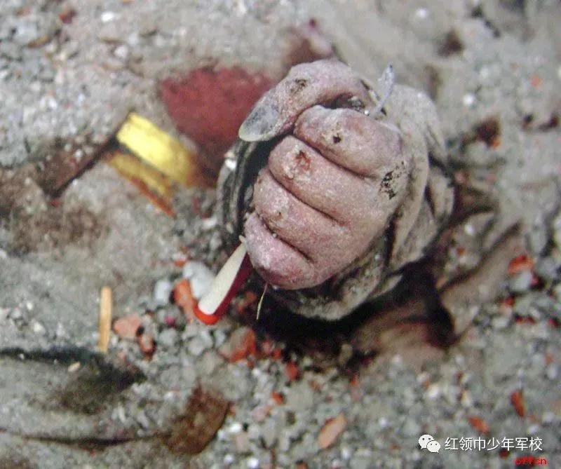 2008年的汶川大地震发生在哪里,2008年的汶川大地震的过程