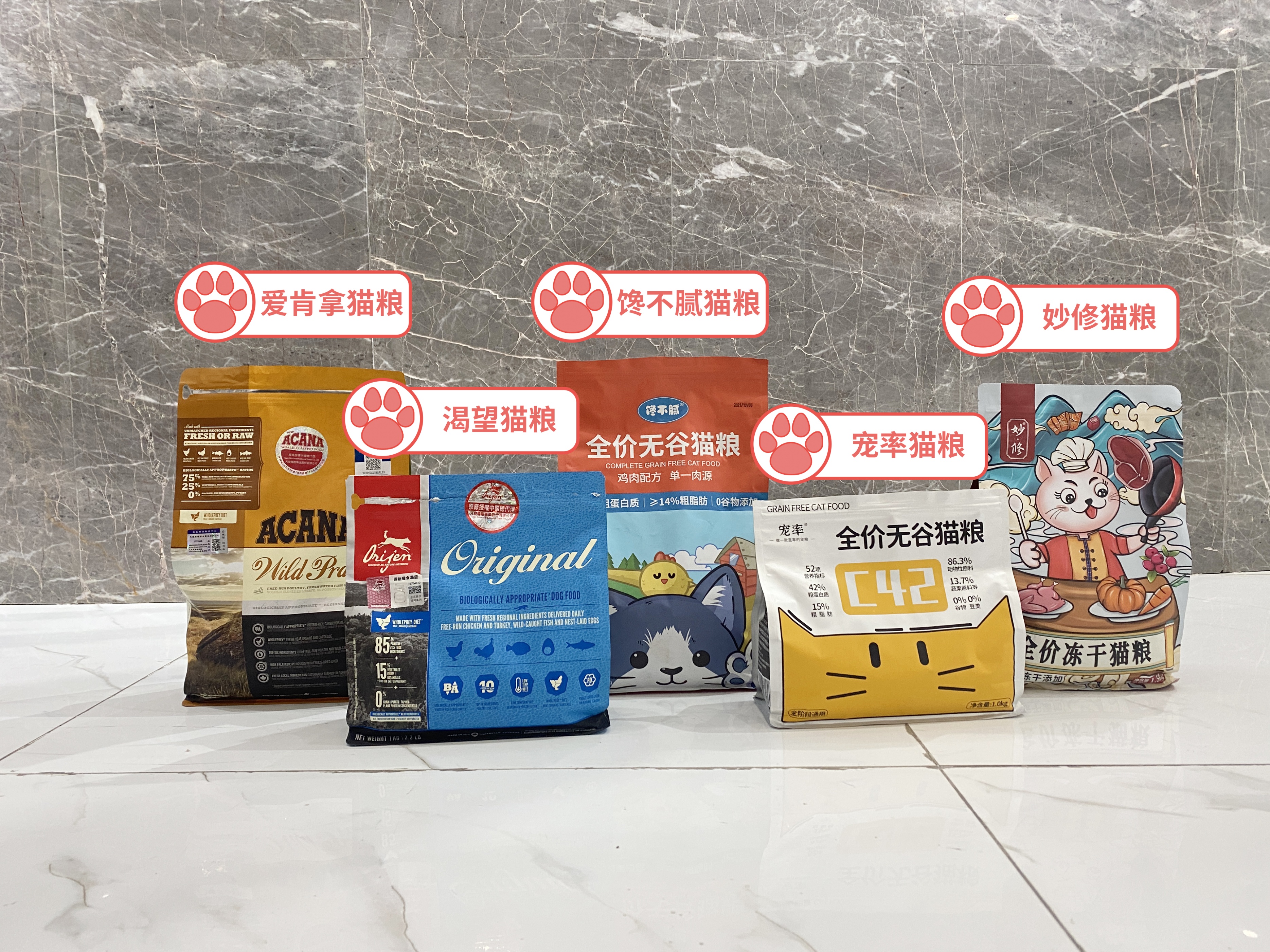 这几种猫真的不值得买越养越心累,这5种猫堪称白眼狼养了也白养