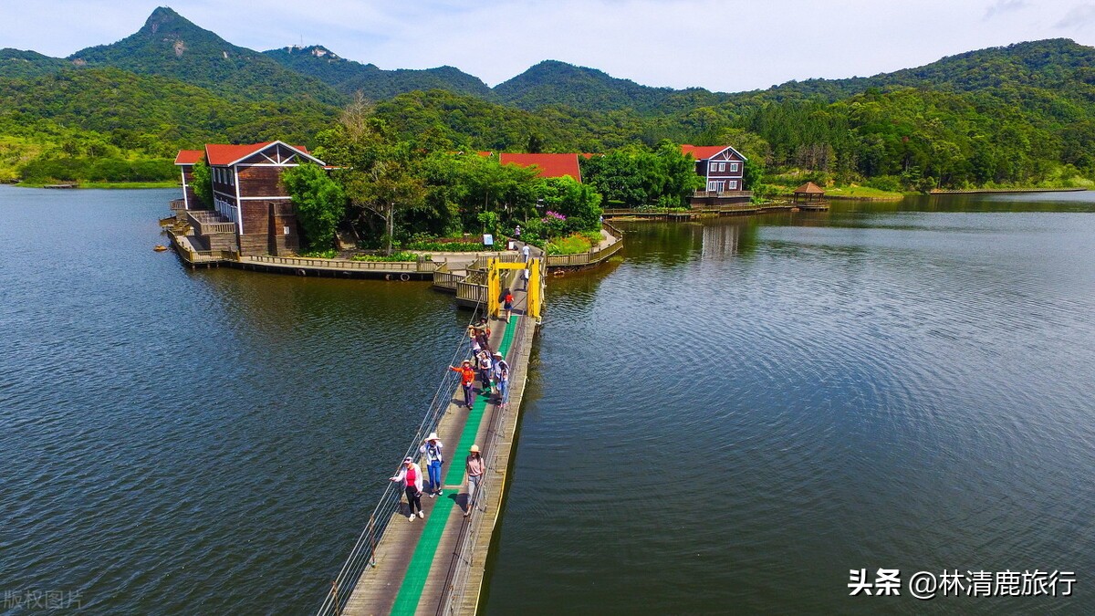 东北人为什么扎堆海南,海南三亚东北人为什么那么多