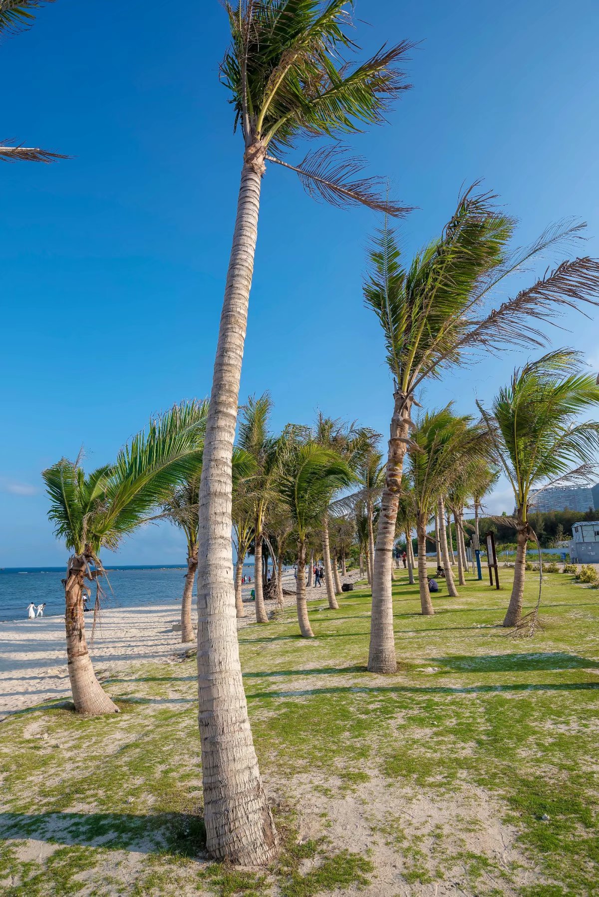 三亚和泰国哪个更适合旅游,三亚旅游和泰国旅游花费差多少钱