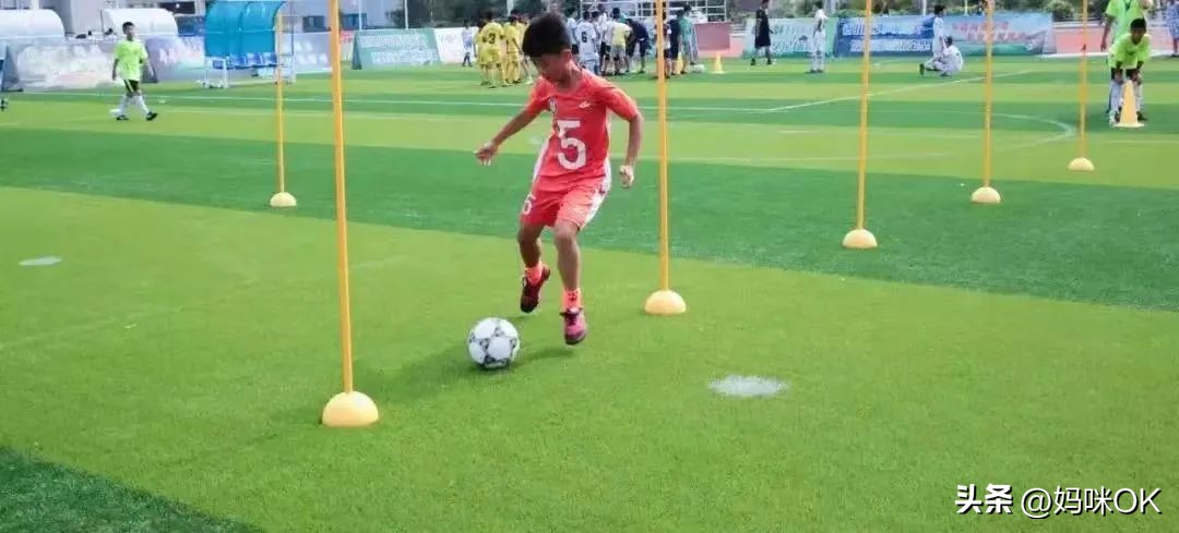 全国小学生测试题,小学国测测试内容