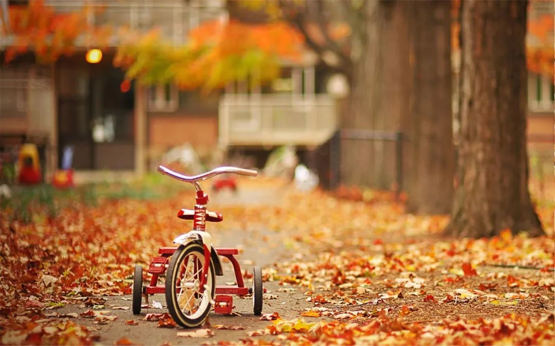 秋天落叶的诗句唯美短句,适合秋天发朋友圈的赞美秋天的诗