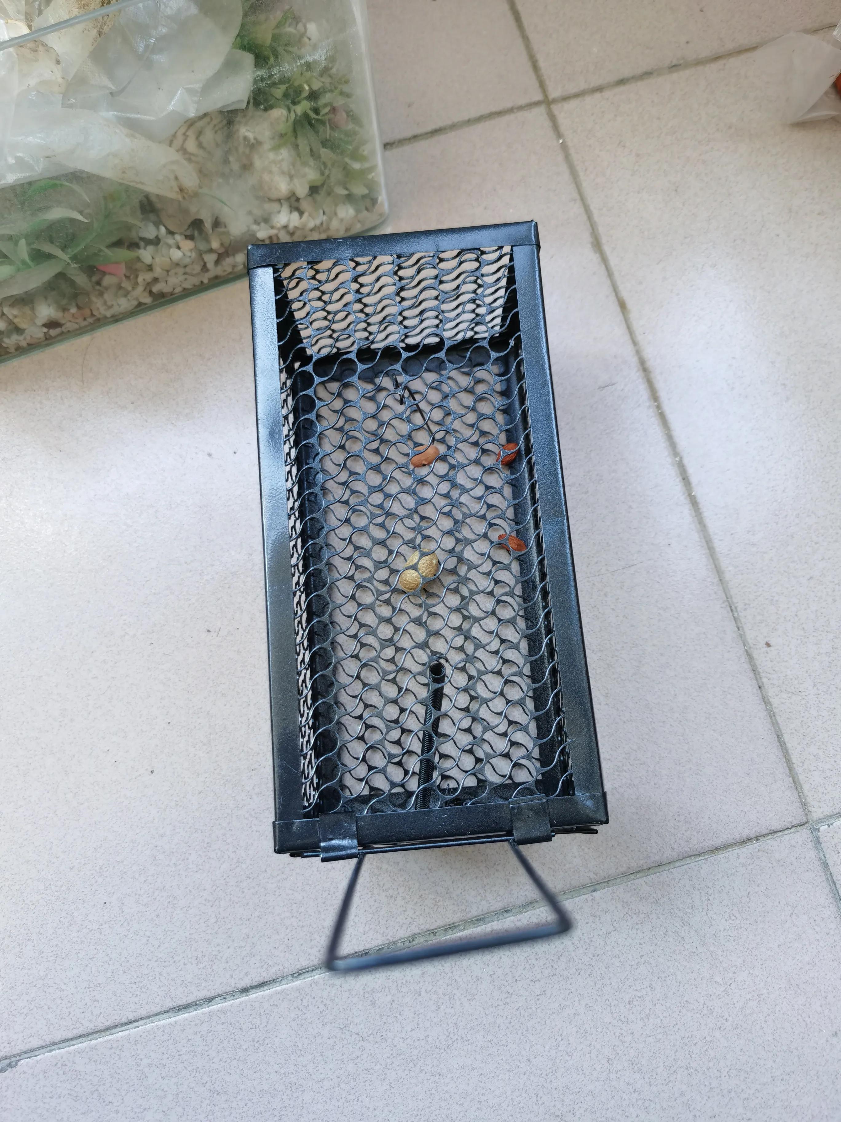 学校灭鼠怎样达到高效的灭鼠效果,专业灭鼠公司一般灭鼠都用啥方法