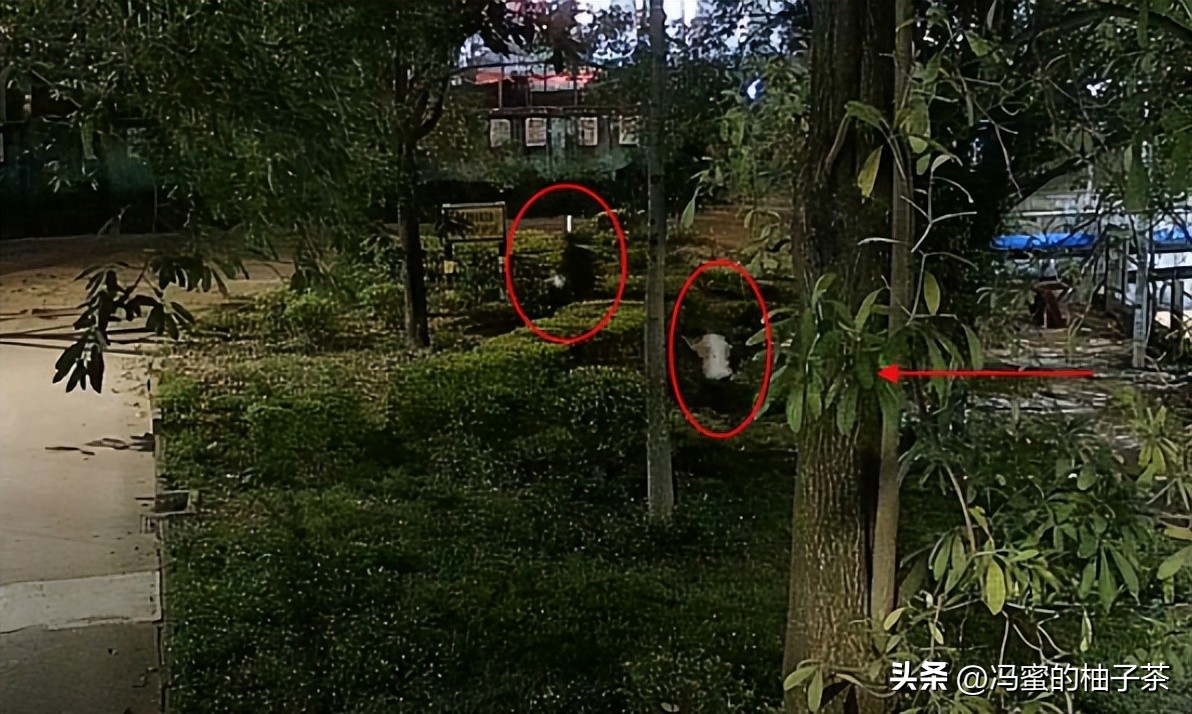 三个穷小伙被姐姐收留20年后报恩,十年前收留穷小伙10年后报恩