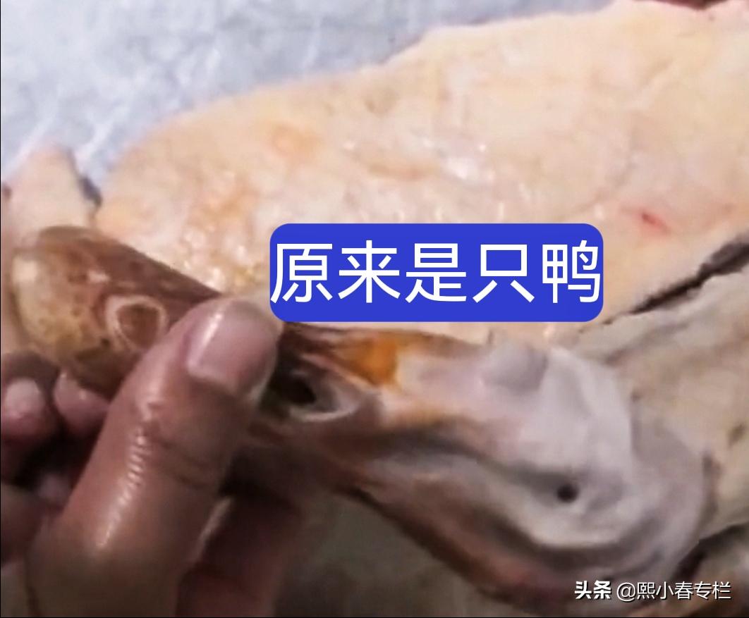 女子买鹅回家发现是鸭子,女子回家买了个鹅