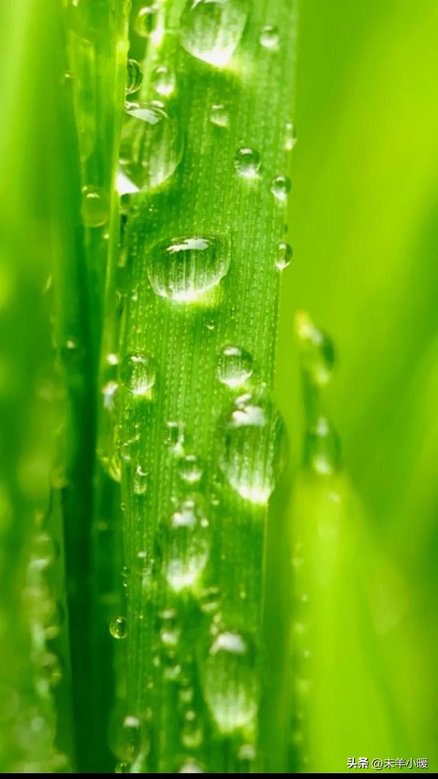 最美的手机壁纸大全,养眼养心的壁纸