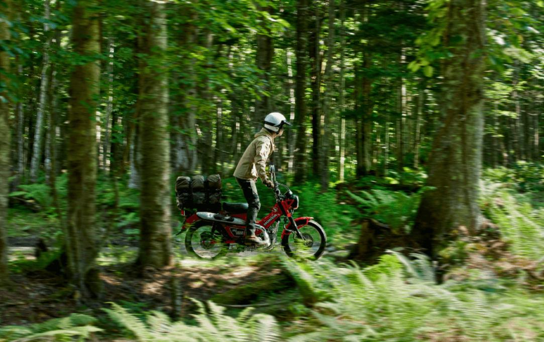 本田幼兽弯梁摩托车旅行视频,本田小弯梁摩托