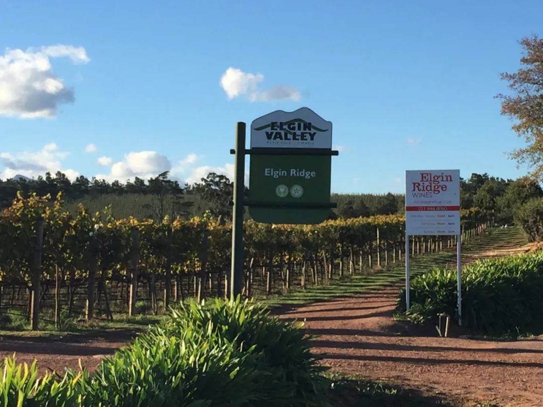 南非旅游途中的酒庄分布图,去南非哪里玩