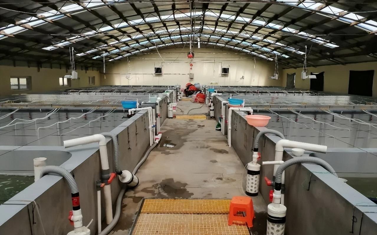 天啊！广东男子花13万进口美国海水，一年后靠这海水赚了盆满钵满