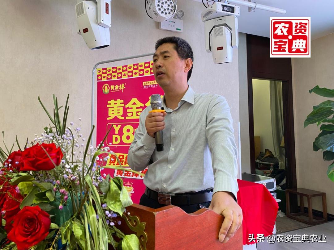 黄金棒819玉米种介绍,玉米种黄金棒918