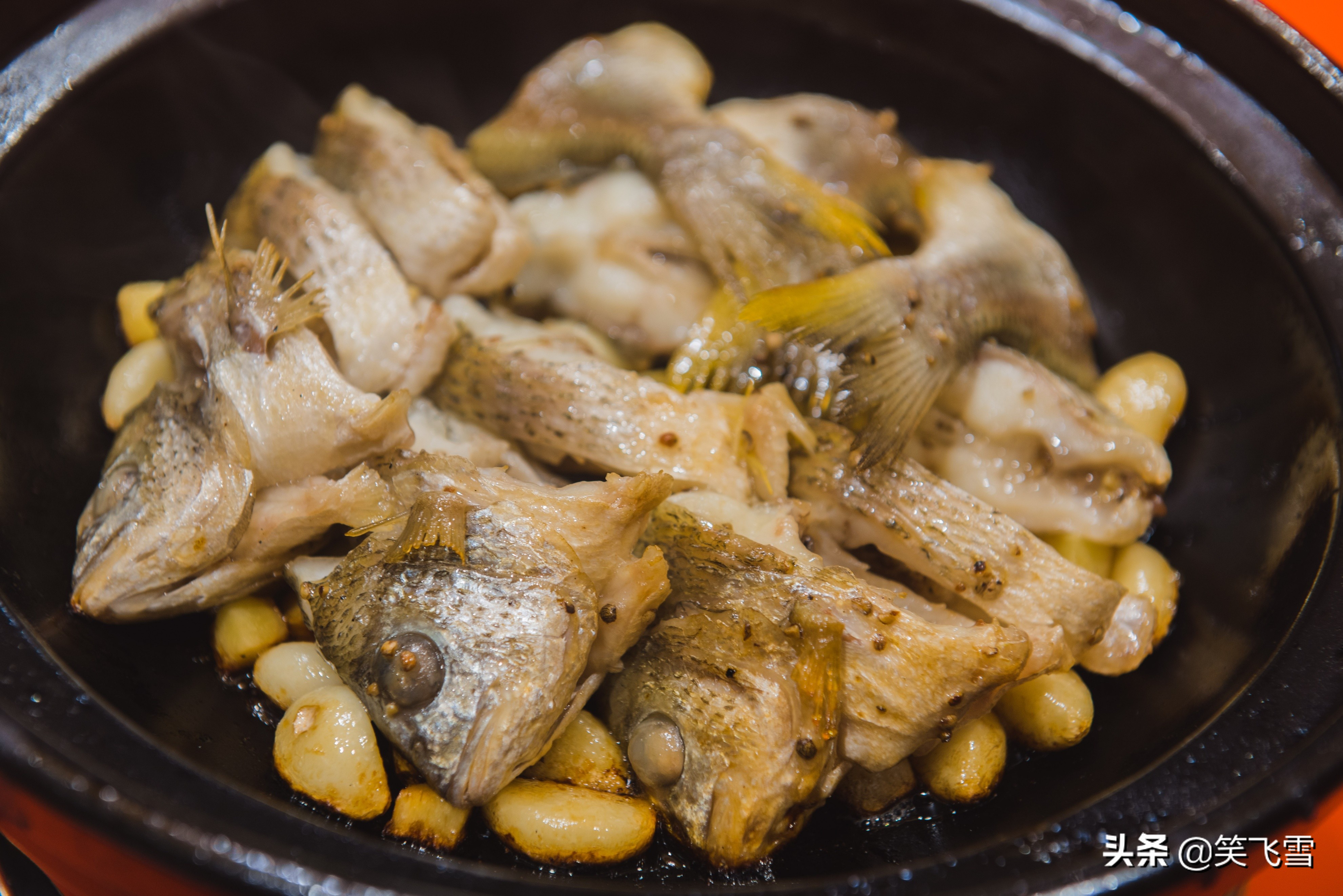 去顺德有什么好玩的,去顺德必玩的地方