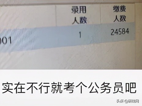 复旦大学mpacc报考条件,mpacc考公能选哪些岗位