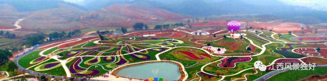 七论赣菜发展,朱虹论赣菜