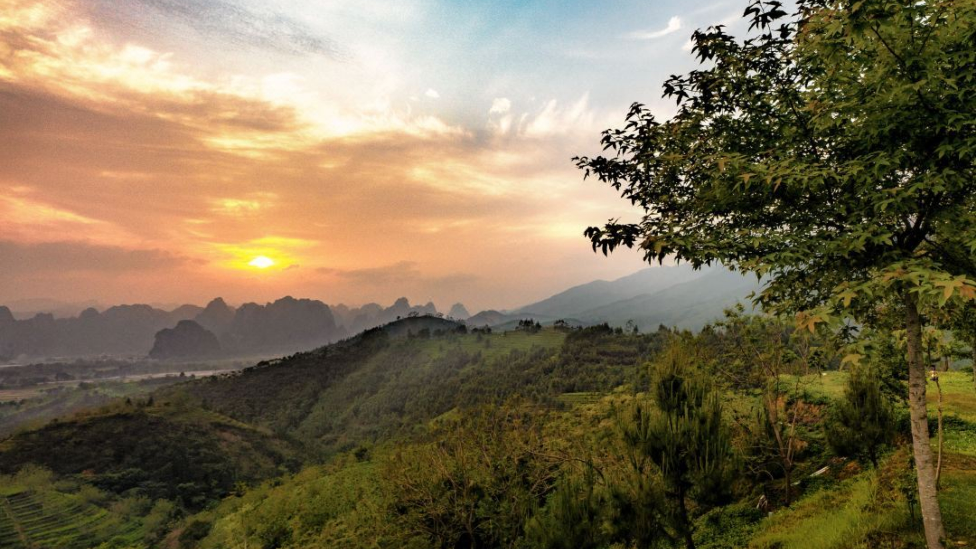 英德野奢营地,清远英德野奢露营基地