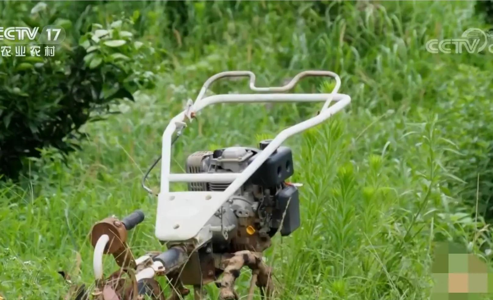 农村小伙承包80亩果园,90后小伙承包15亩果园养活3个孩子