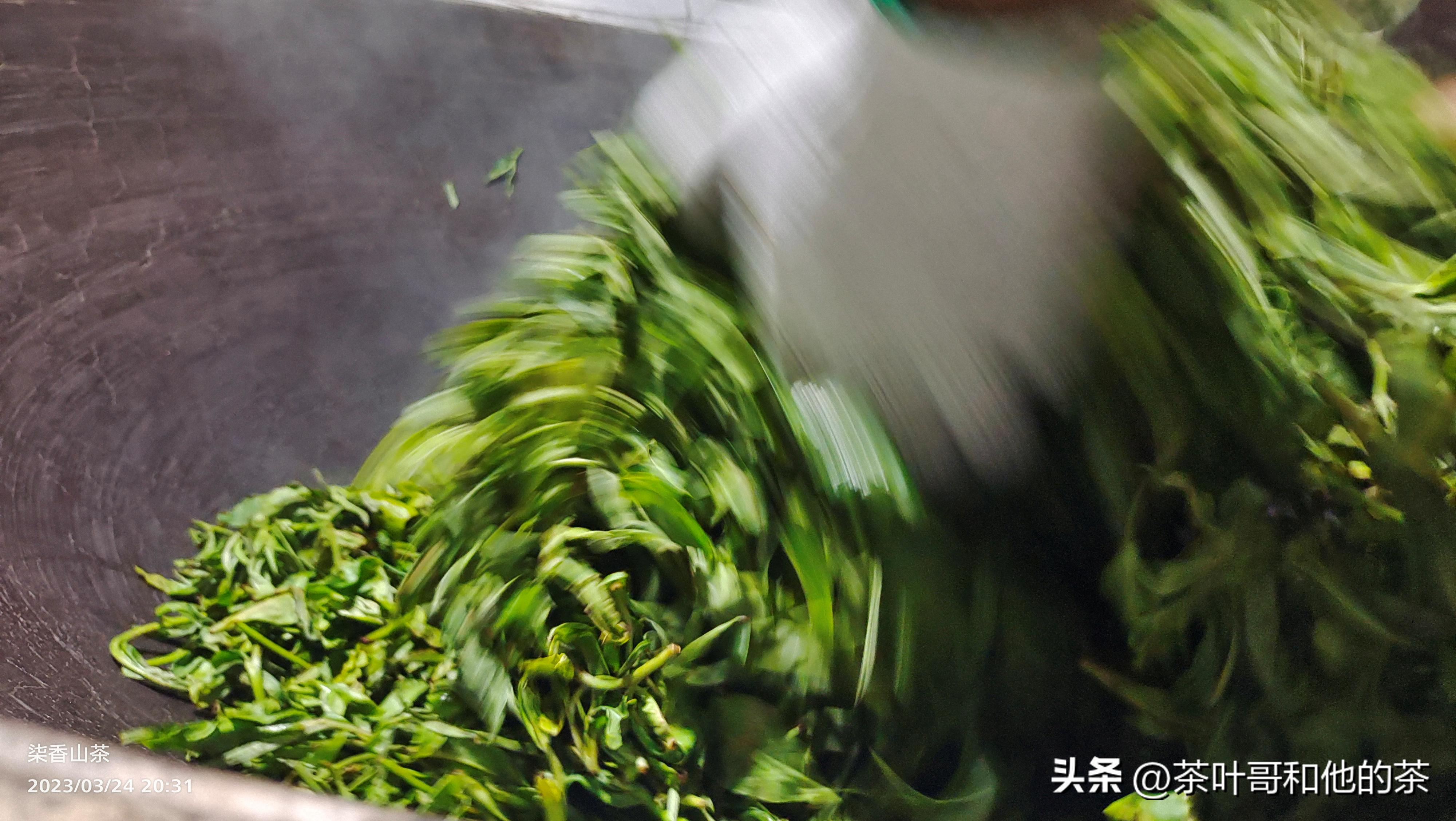 信不信由你这句话可信吗,从事茶叶这行业能学到什么