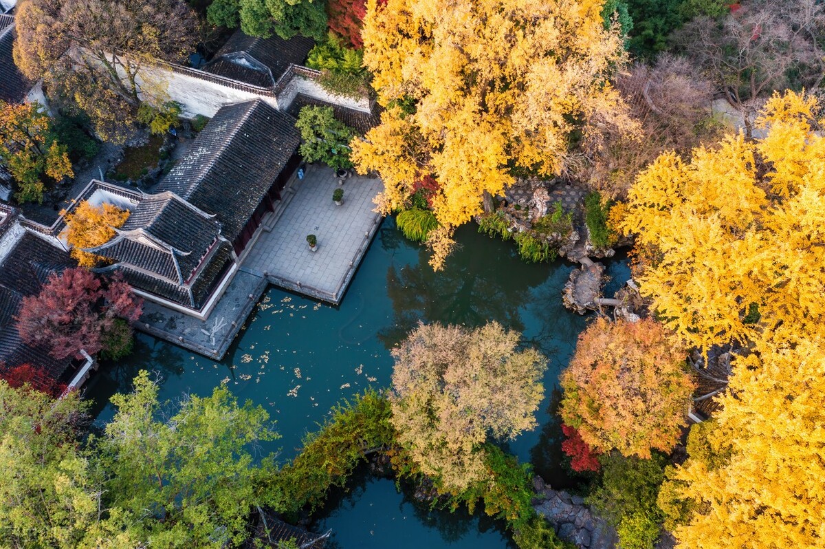 诗意的人生是什么意思,什么是最好的诗意人生