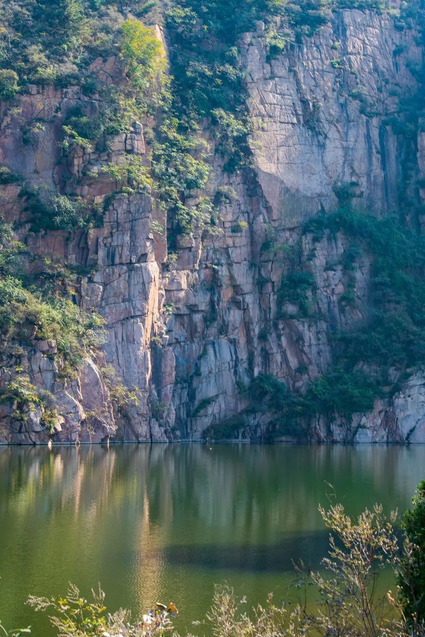 为什么叫山东大葱,为什么大葱用葱白不用葱绿